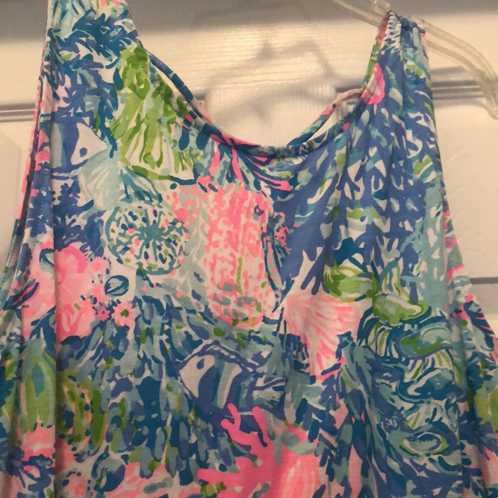 Lilly Pulitzer Blue and Pink Maxi Dress - Picture 4 of 10